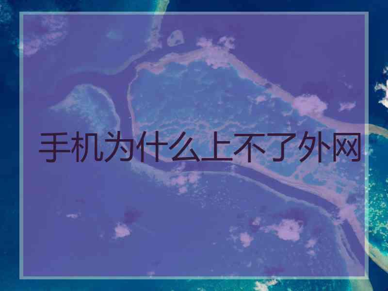 手机为什么上不了外网