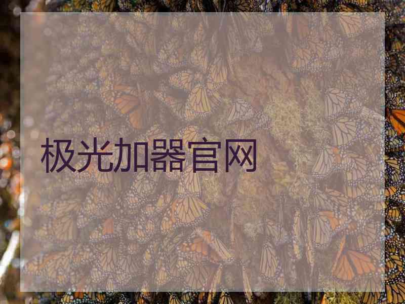 极光加器官网