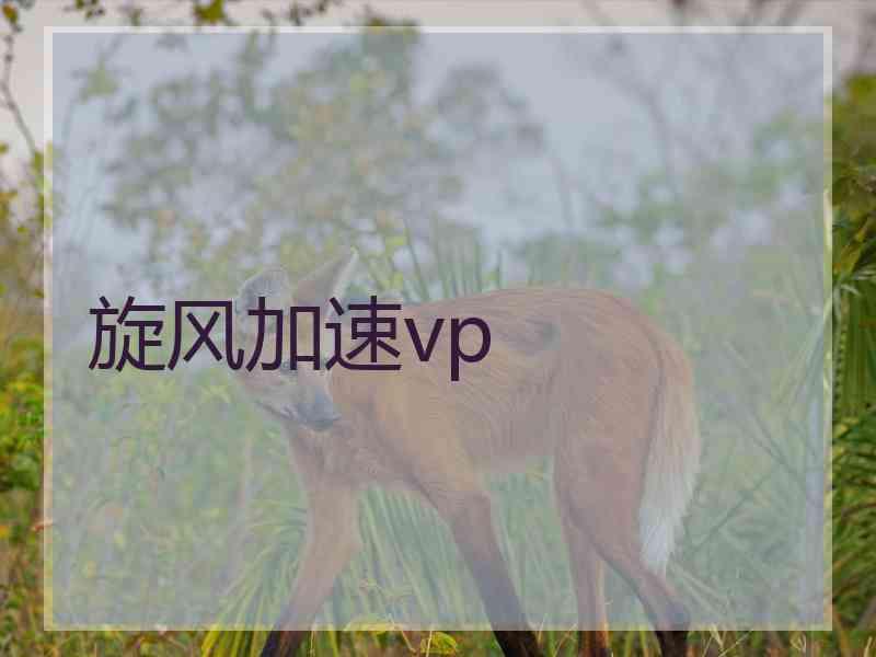 旋风加速vp