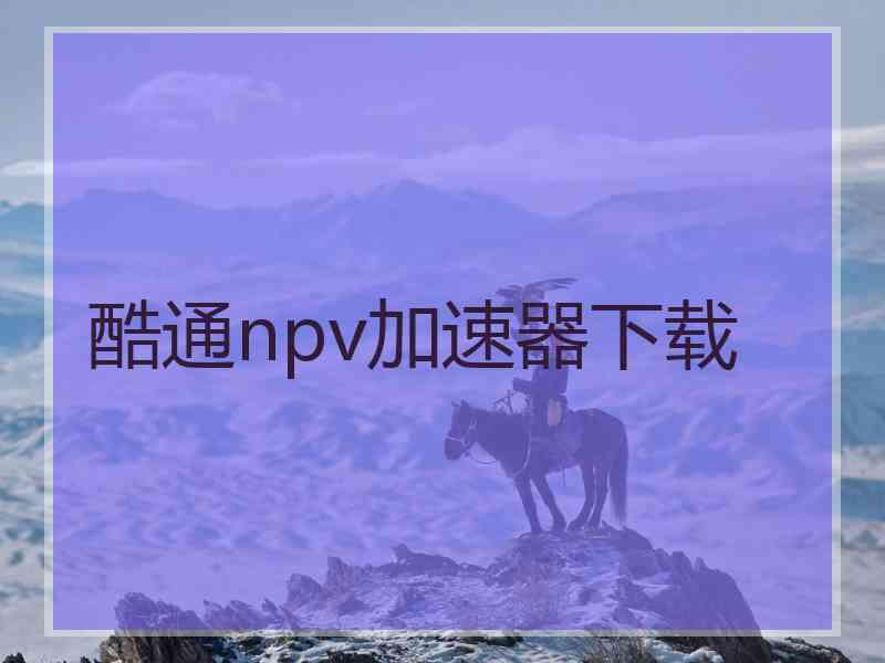 酷通npv加速器下载