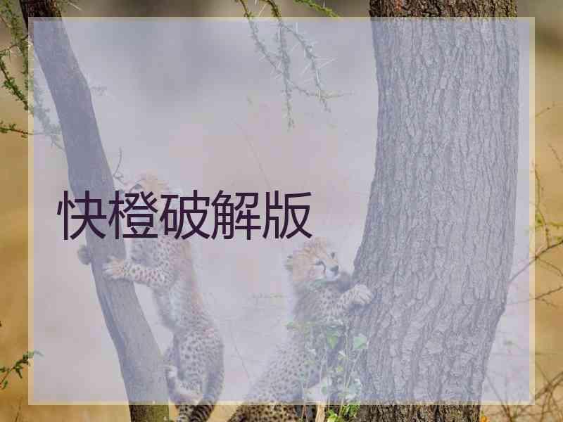 快橙破解版