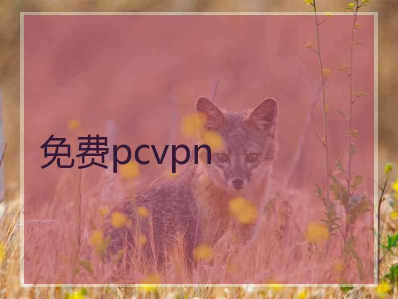 免费pcvpn