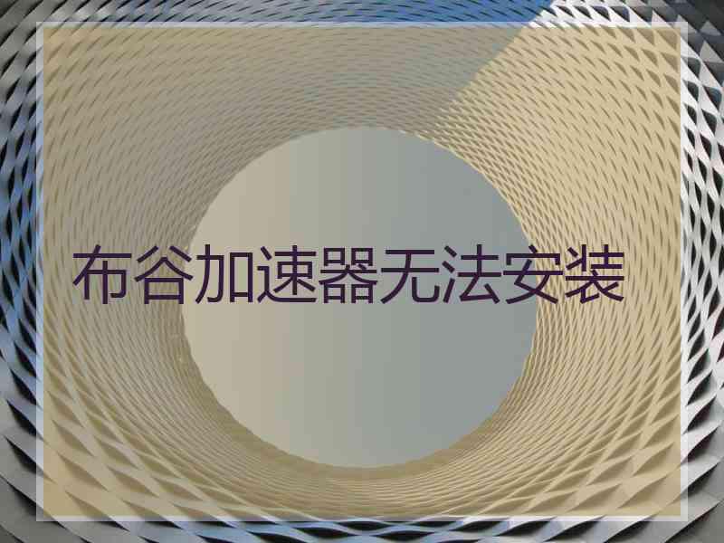 布谷加速器无法安装