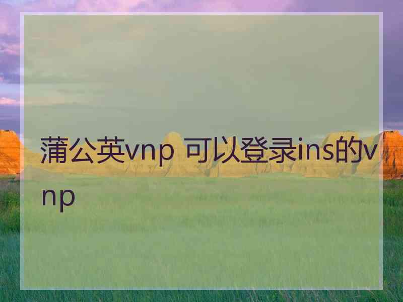 蒲公英vnp 可以登录ins的vnp