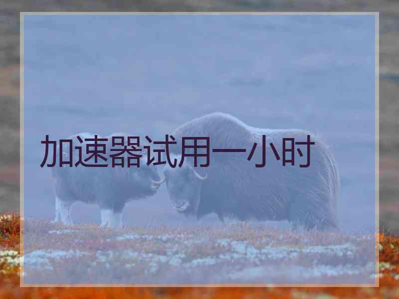 加速器试用一小时