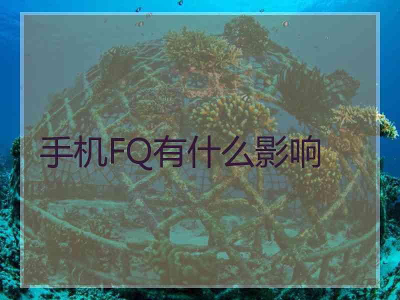 手机FQ有什么影响