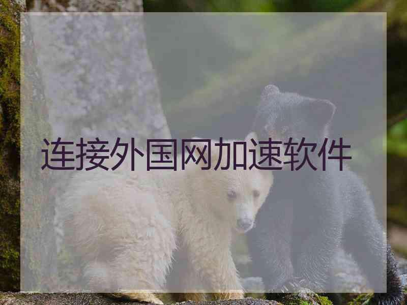 连接外国网加速软件
