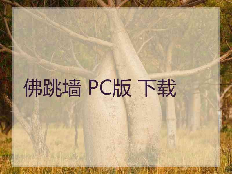 佛跳墙 PC版 下载