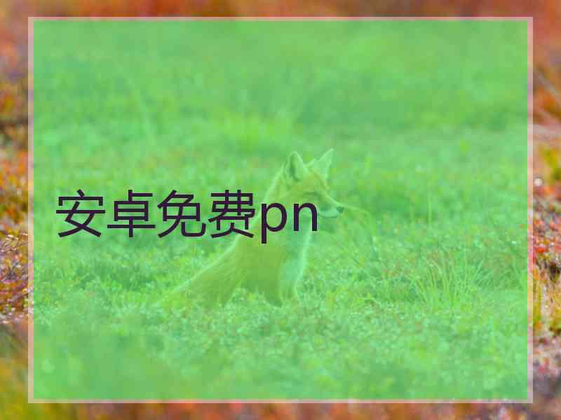 安卓免费pn