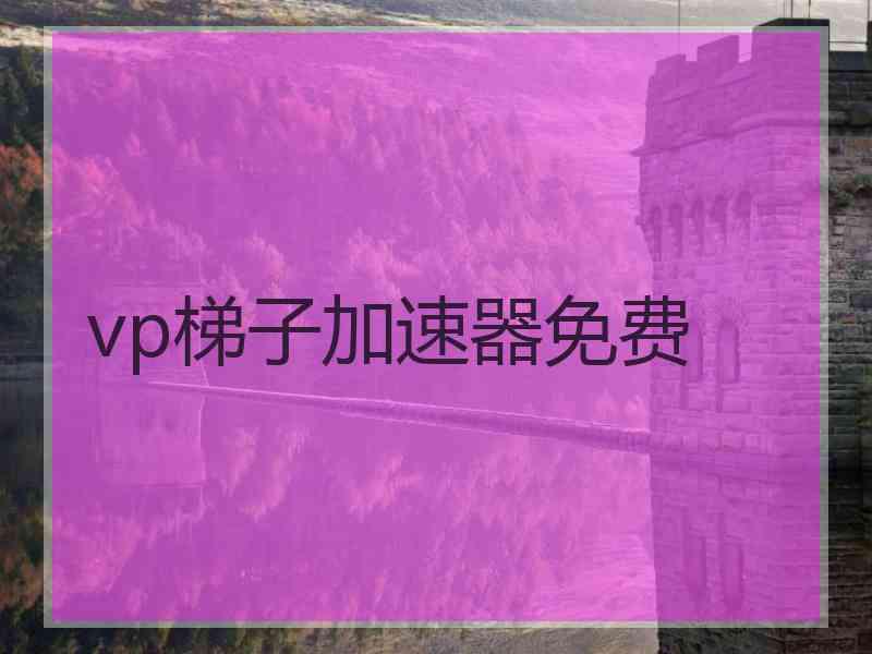 vp梯子加速器免费