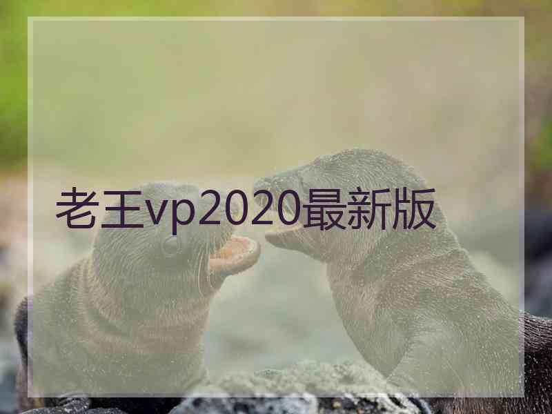 老王vp2020最新版