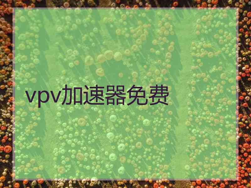 vpv加速器免费