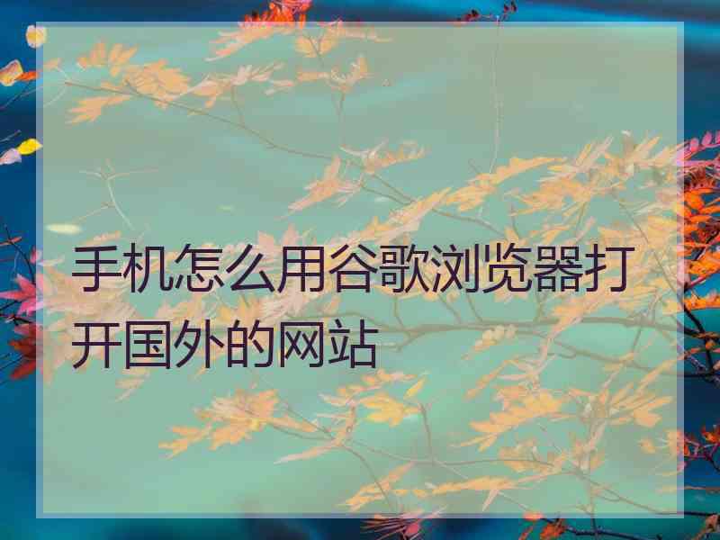手机怎么用谷歌浏览器打开国外的网站