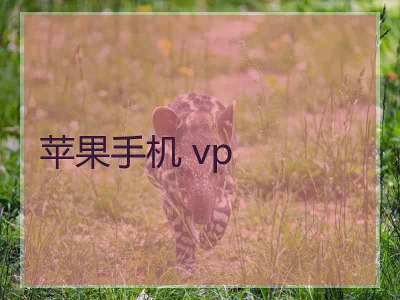 苹果手机 vp