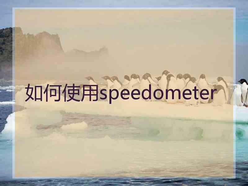 如何使用speedometer