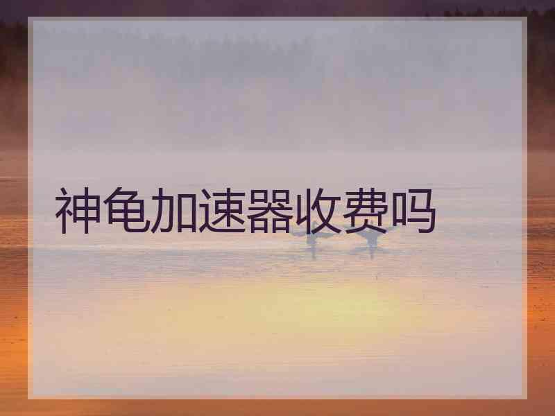 神龟加速器收费吗