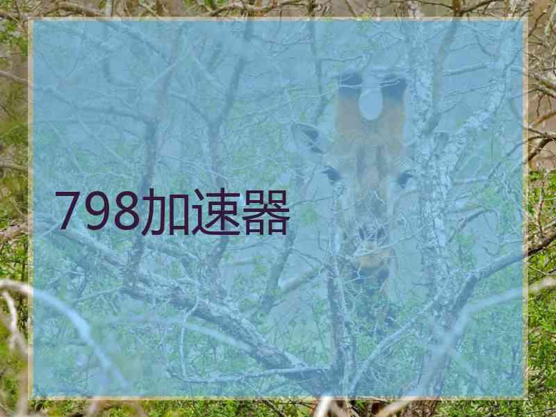 798加速器
