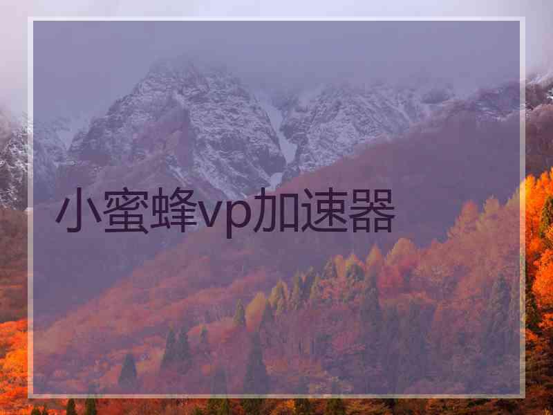 小蜜蜂vp加速器