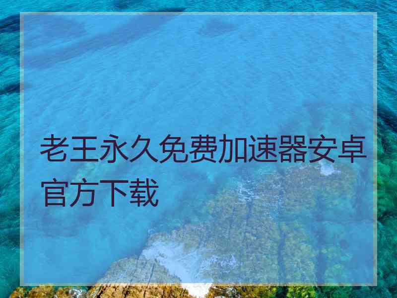 老王永久免费加速器安卓官方下载