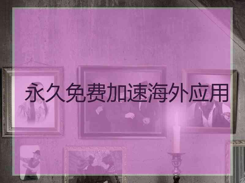 永久免费加速海外应用