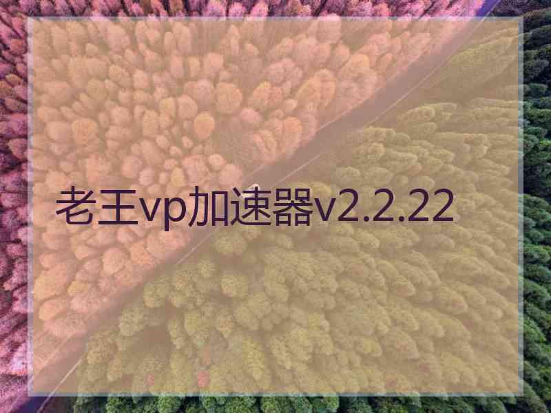 老王vp加速器v2.2.22