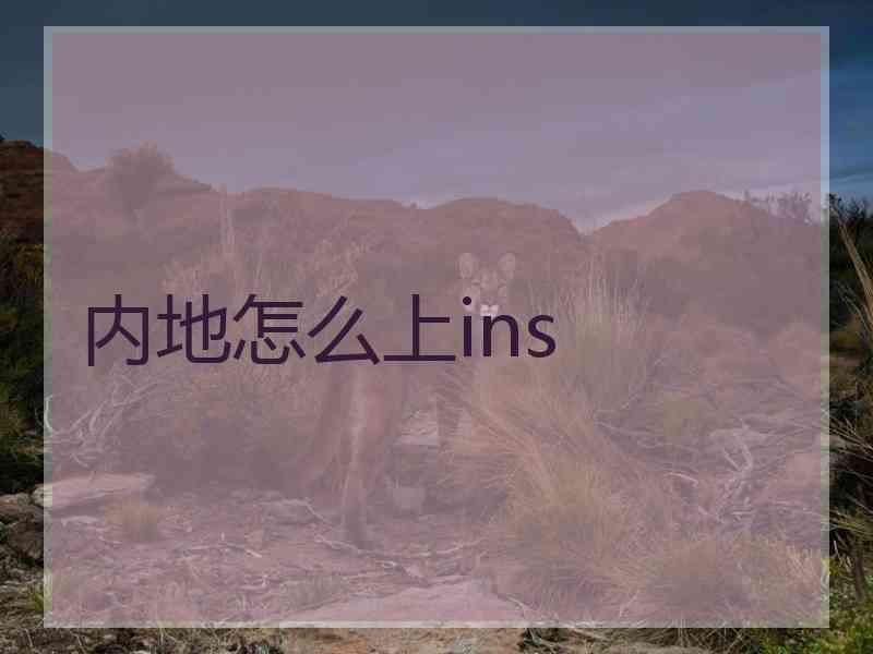 内地怎么上ins