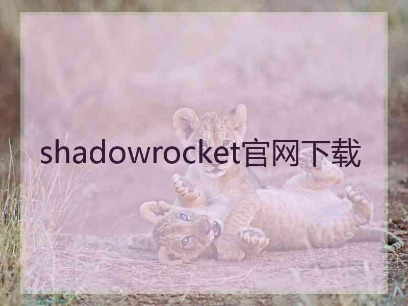 shadowrocket官网下载