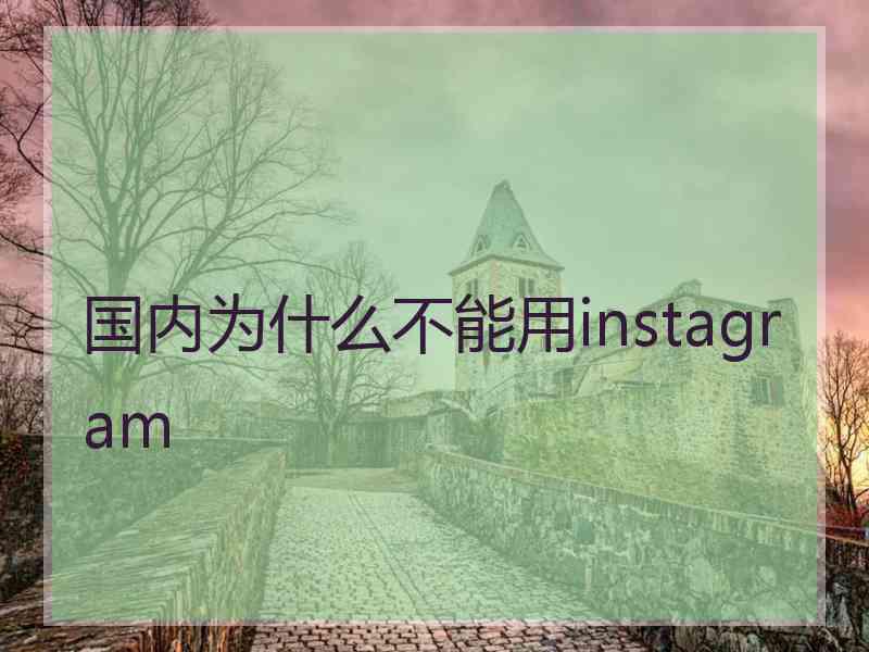 国内为什么不能用instagram