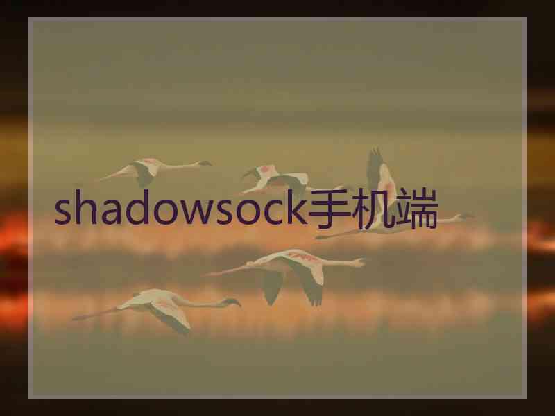 shadowsock手机端