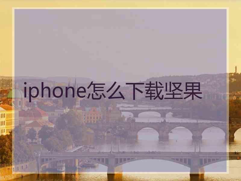 iphone怎么下载坚果