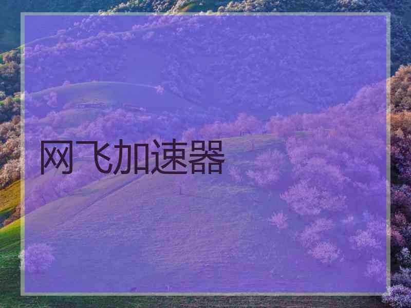 网飞加速器
