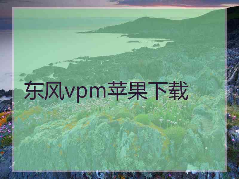 东风vpm苹果下载