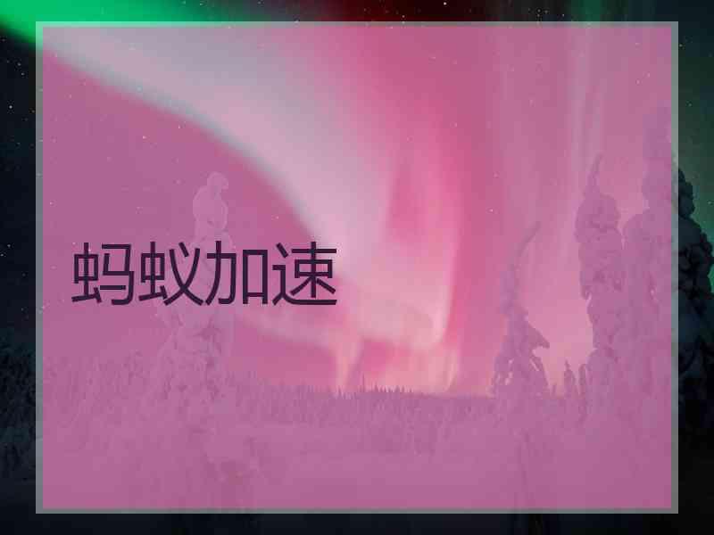 蚂蚁加速