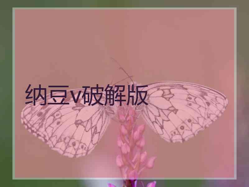 纳豆v破解版