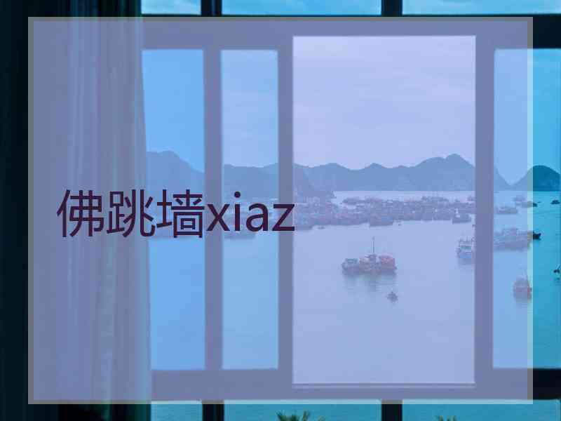 佛跳墙xiaz