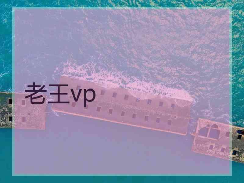 老王vp