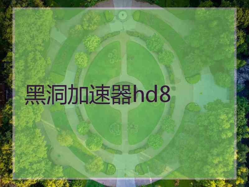 黑洞加速器hd8