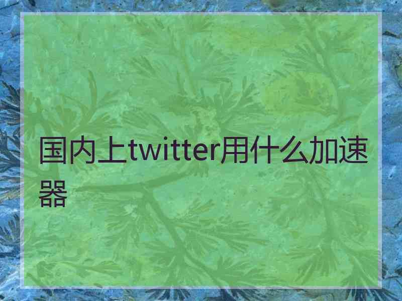 国内上twitter用什么加速器