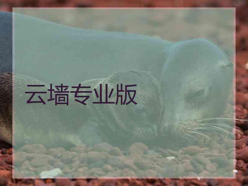 云墙专业版