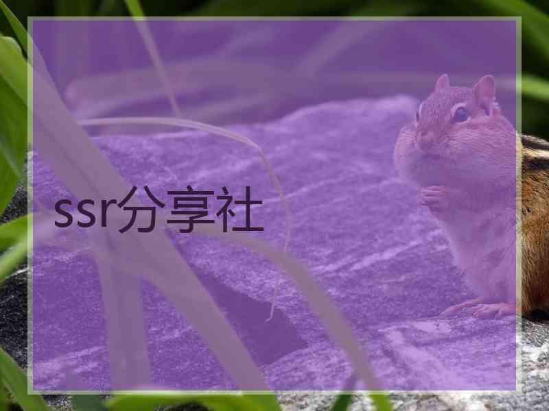 ssr分享社
