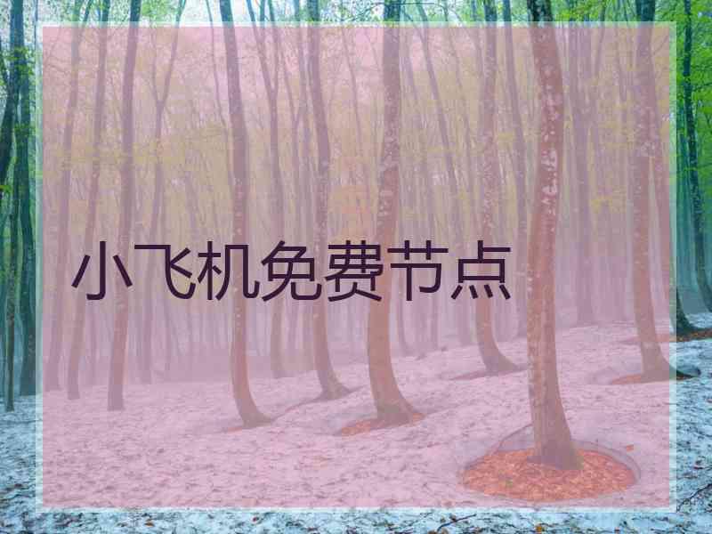 小飞机免费节点