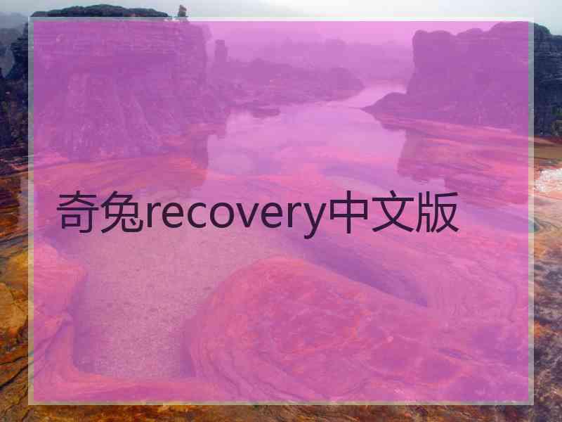 奇兔recovery中文版