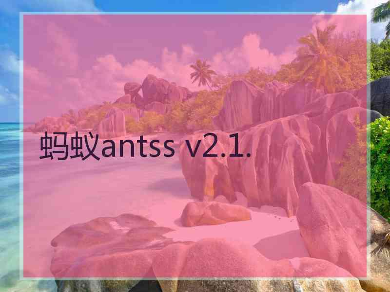 蚂蚁antss v2.1.
