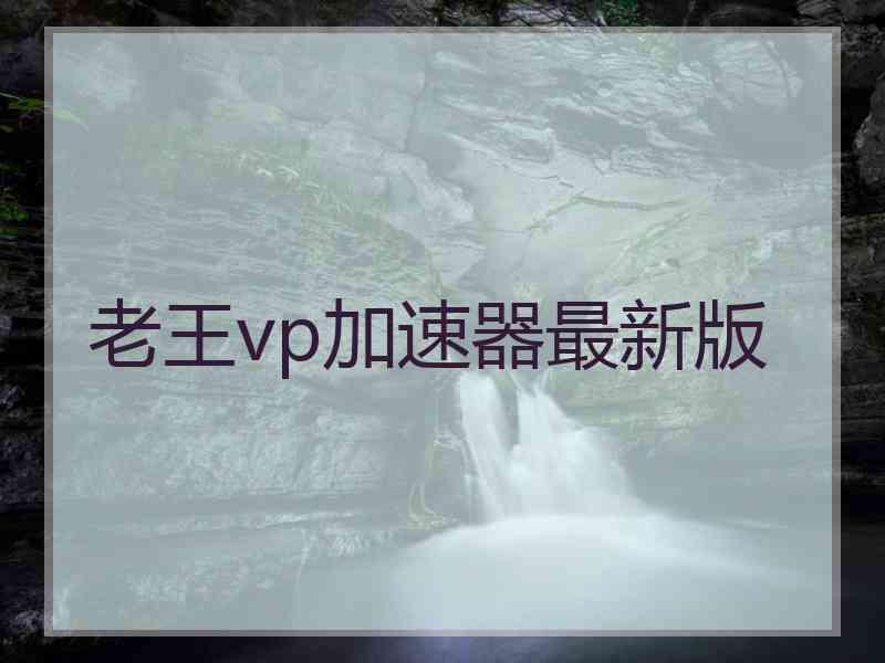 老王vp加速器最新版