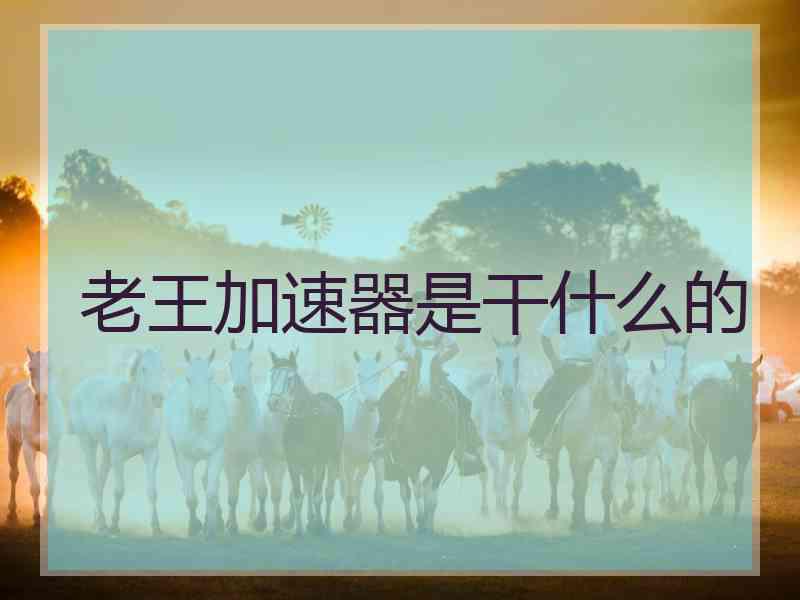 老王加速器是干什么的