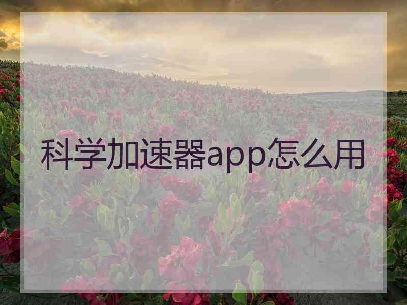 科学加速器app怎么用