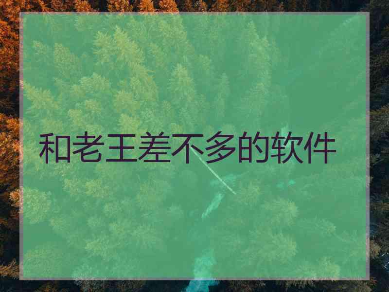和老王差不多的软件