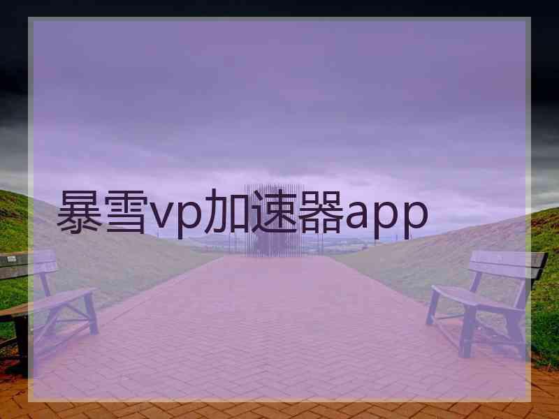 暴雪vp加速器app