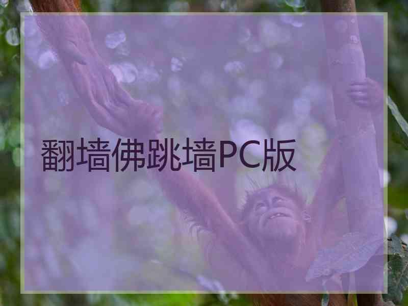 翻墙佛跳墙PC版