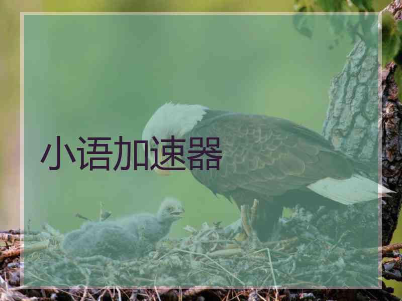 小语加速器